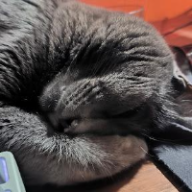 Photo du profil de l'utilisateur