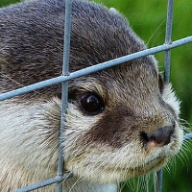 Photo du profil de l'utilisateur